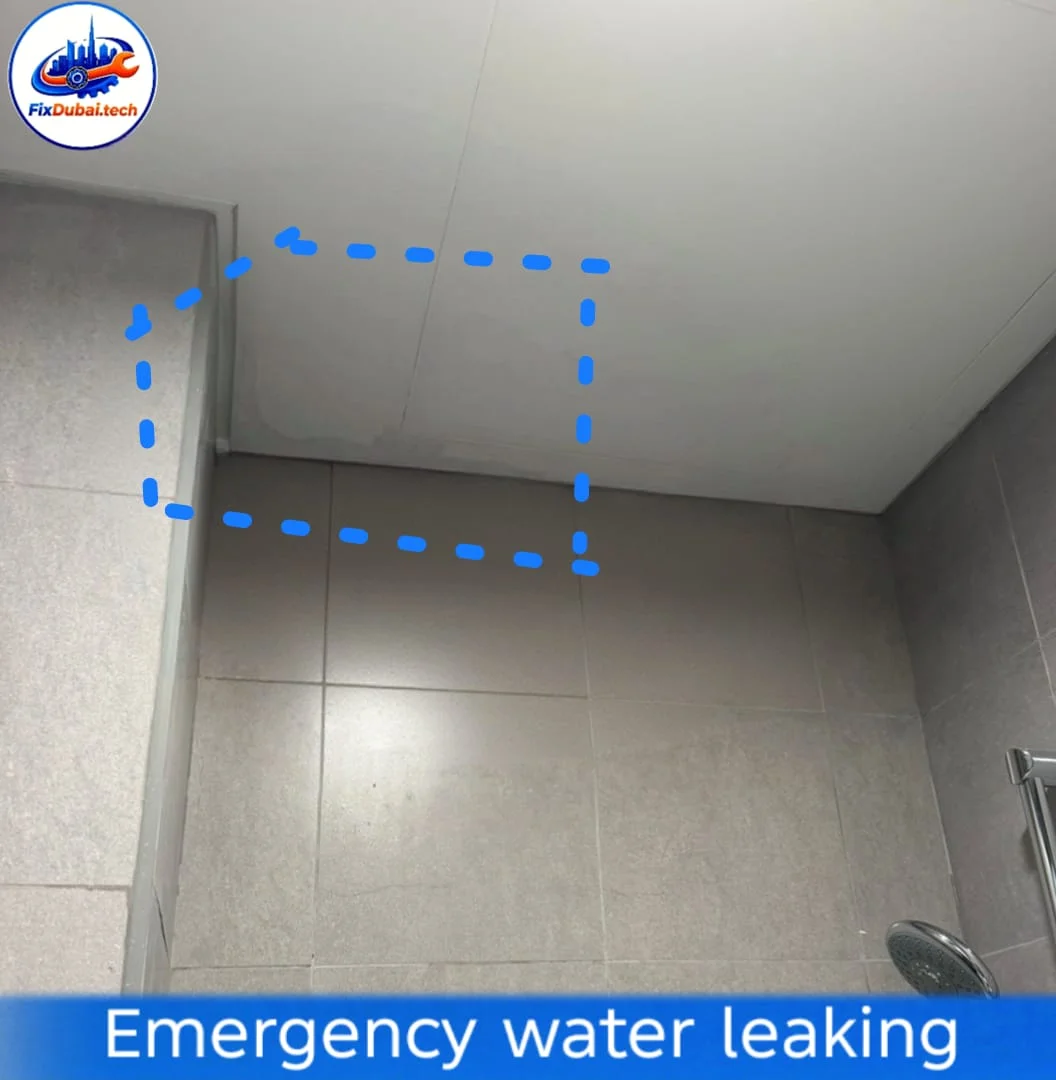 Bathroom leakage warning signs Dubai