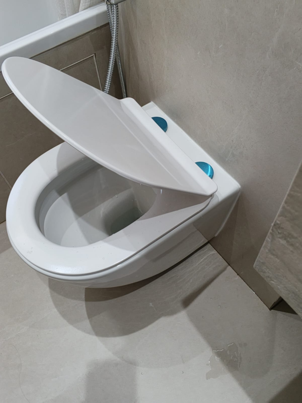 Professional Toilet Seat Replacement Dubai
