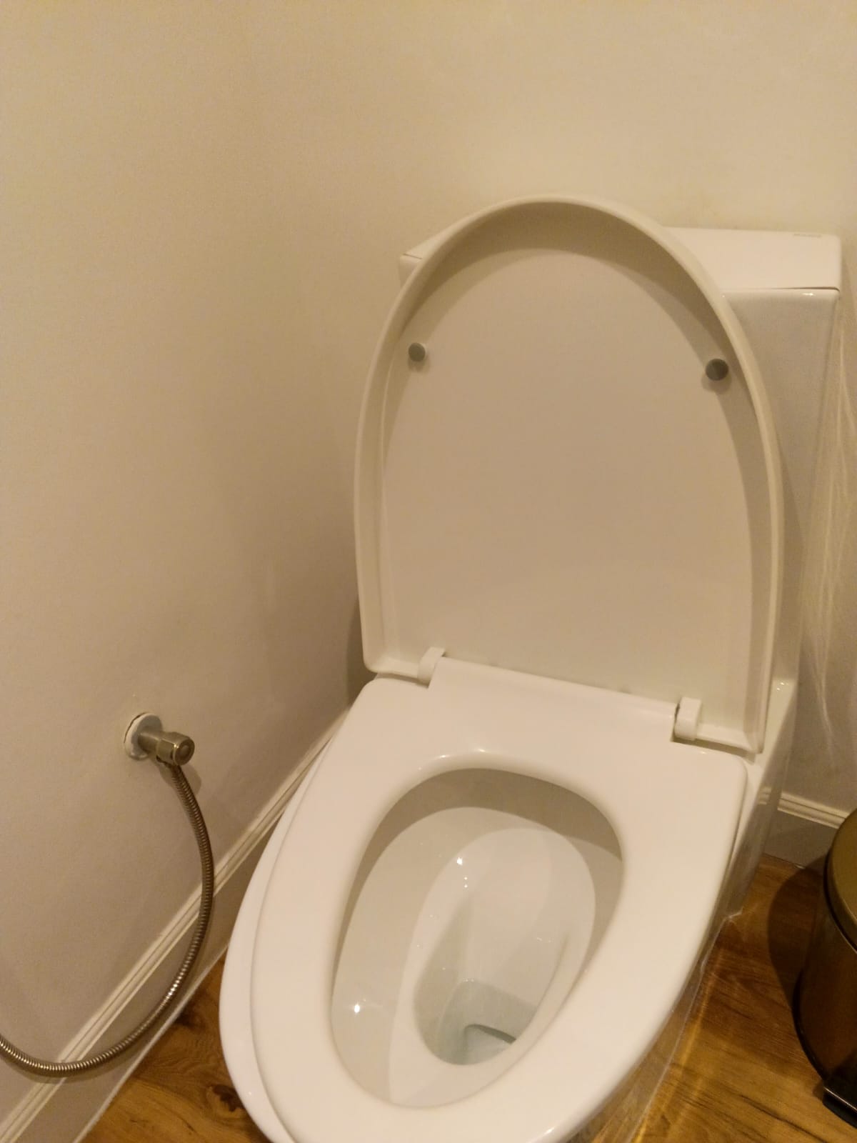 Toilet Seat Unblocking Dubai
